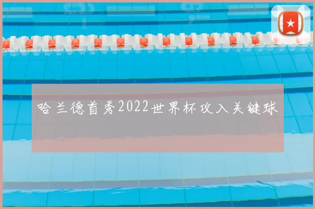 哈兰德首秀2022世界杯攻入关键球