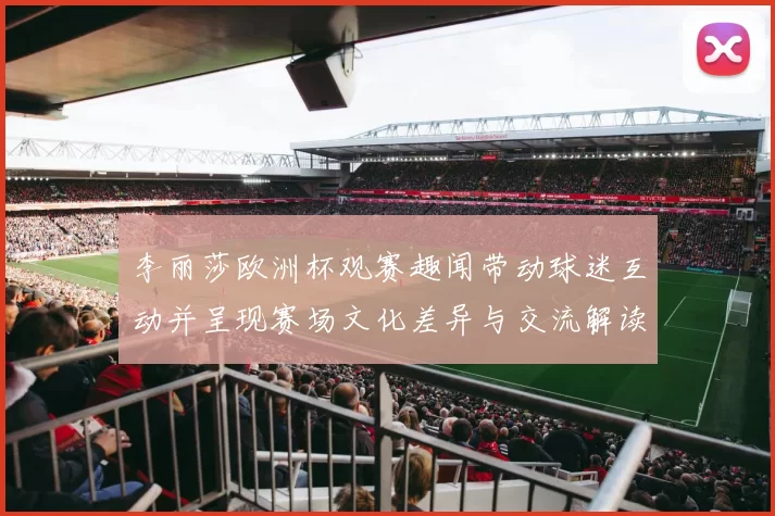 李丽莎欧洲杯观赛趣闻带动球迷互动并呈现赛场文化差异与交流解读