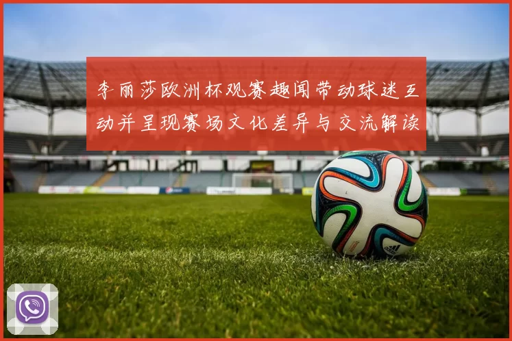 李丽莎欧洲杯观赛趣闻带动球迷互动并呈现赛场文化差异与交流解读