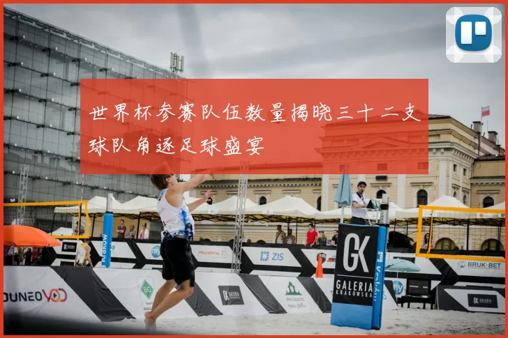 世界杯参赛队伍数量揭晓三十二支球队角逐足球盛宴
