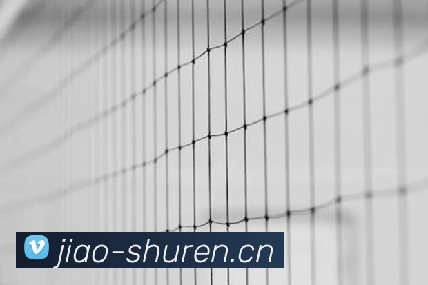 BANDAO半岛体育·(中国)官方网站发展历程